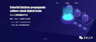 技术驱动未来 多彩贵州网技术团队的力量与愿景