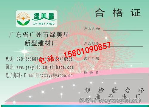 北京网络技术服务 赋能数字时代的创新引擎